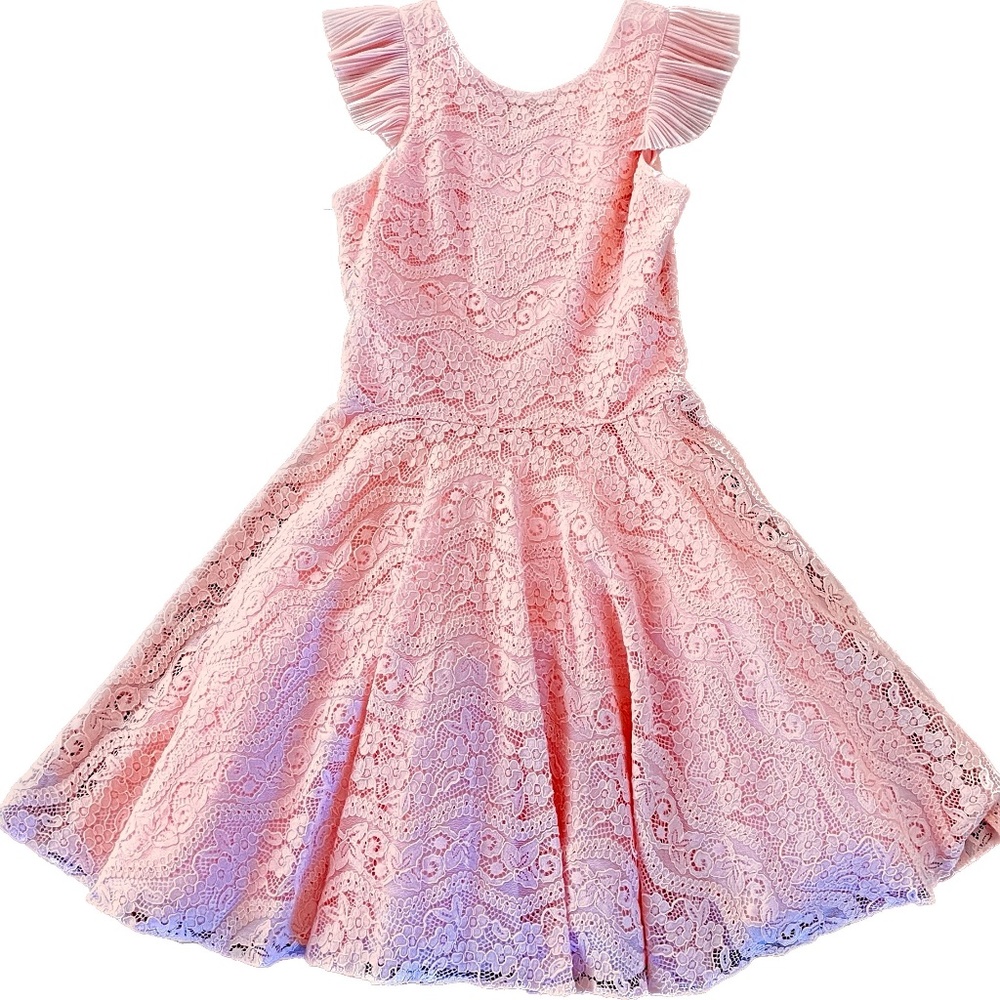 NWT David Charles Childrens Wear Pink Lace Gown, size 12